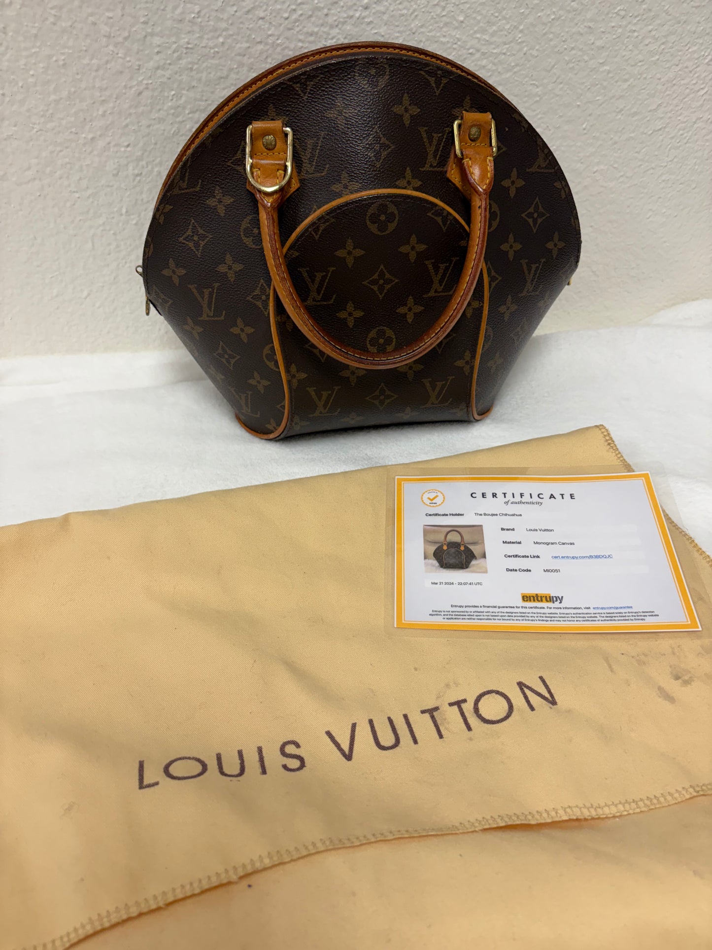 Louis Vuitton monogram Ellipse PM bag