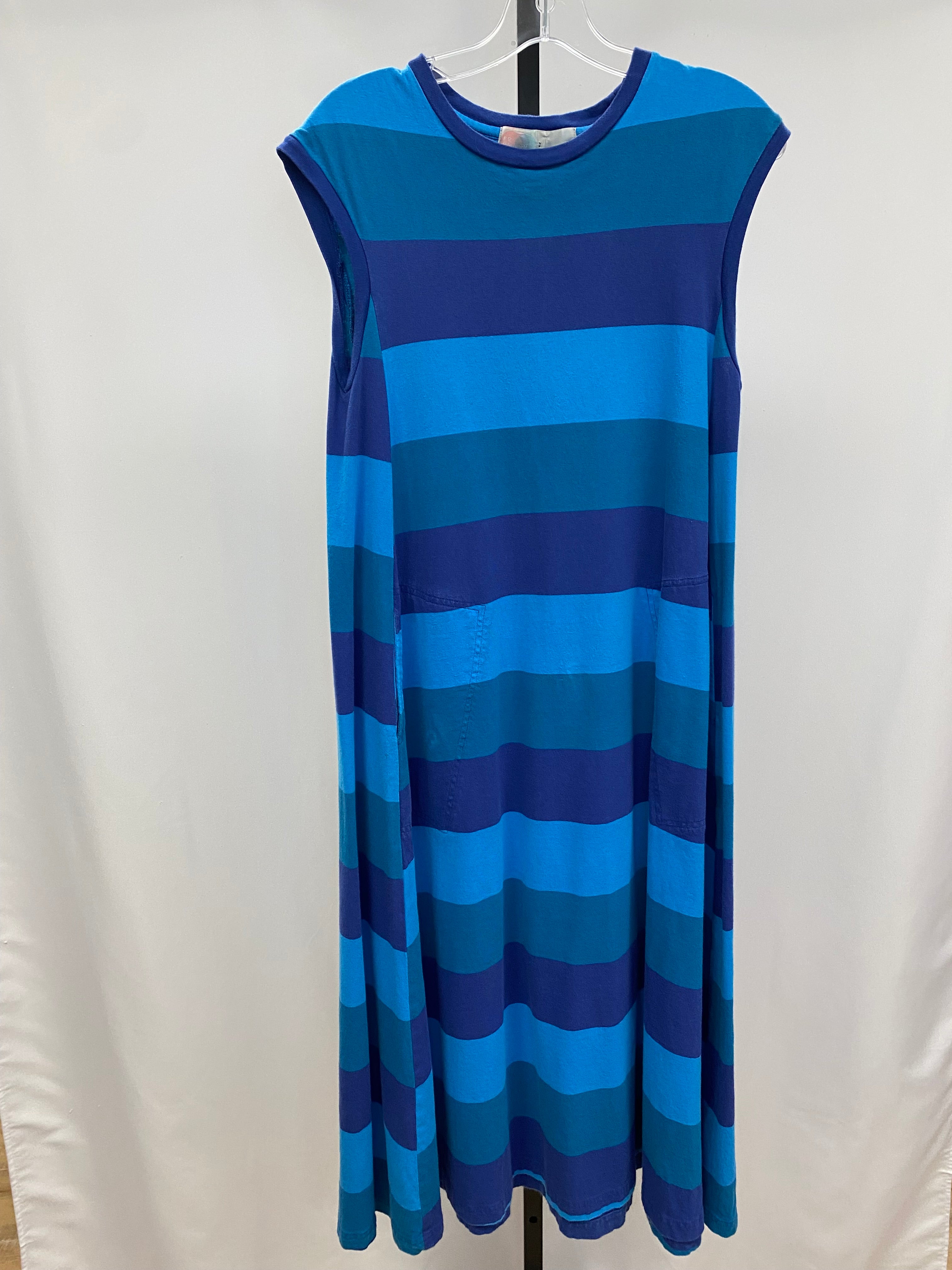 Free people blue striped maxi dress size S