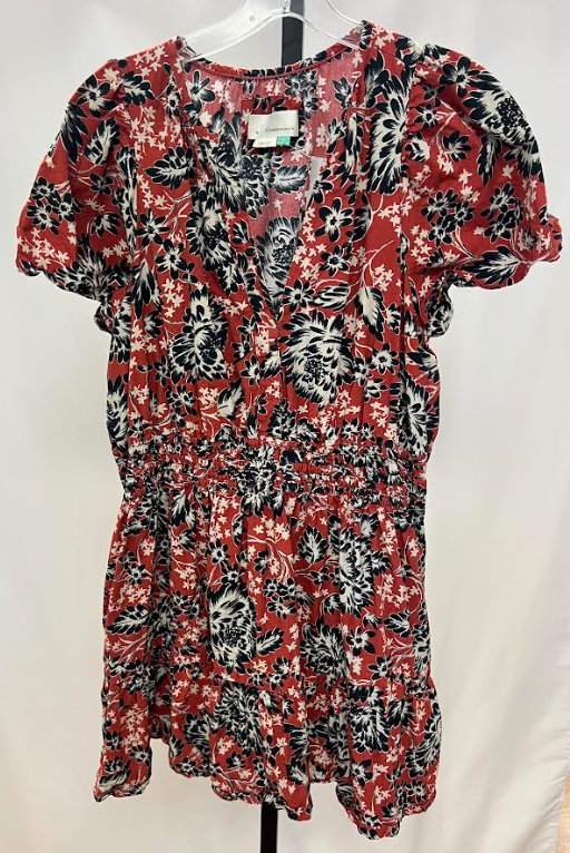 Anthropologie Red Pattern Dress Size 1X